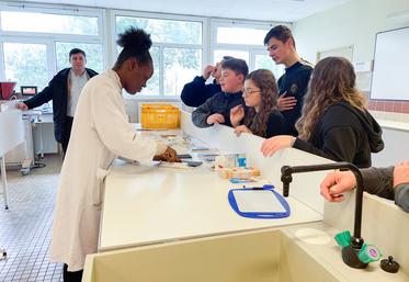 Jeudi 8 février, à Sours. Les collégiens ont été invités à déguster des chocolats ayant différents pourcentages de cacao.