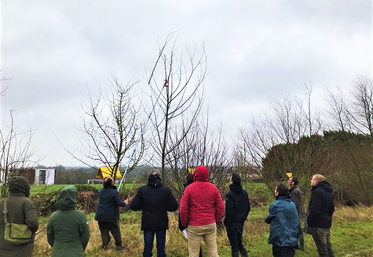 Mercredi 7 février, à Brie-Comte-Robert (Seine-et-Marne). Lors de la journée de formation, l'accent a été mis sur la nécessité d'adopter les bons gestes dès le début d'une plantation.