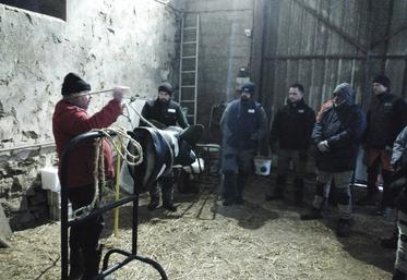 Différentes techniques de contention ont été utilisées.