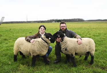 Flavien et Fanny Bouchard, de l'EARL du Bouc noir à Couddes, présenteront, lundi 26 février, deux jeunes béliers de race suffolk au concours ovin du Sia.