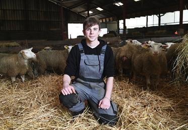 Lukas Petit, élève en 2e année de BTS Productions animales au lycée agricole de Vendôme, concourra lors des Ovinpiades du Salon de l'agriculture lundi 26 février. 