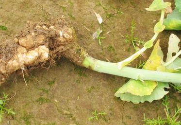 L'enquête permettra notamment d'identifier des cas de contournement de résistance.