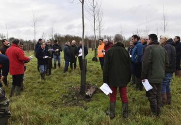 Lors d’une visite de la plantation expérimentale populicole à Noyers-sur-Cher, un premier bilan a été dressé en présence des adhérents de l’association Peupliers du Centre-Val de Loire, deux ans après la mise en place.