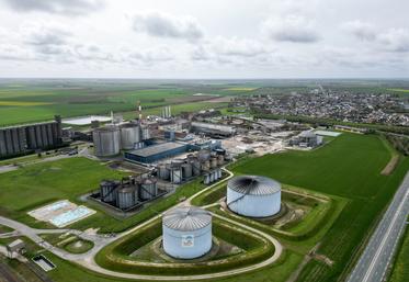 L'usine Tereos située à Artenay cherche de nouvelles surfaces betteravières sur sa zone de collecte qui s'étend sur sept départements.