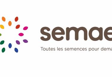 Logo Semae