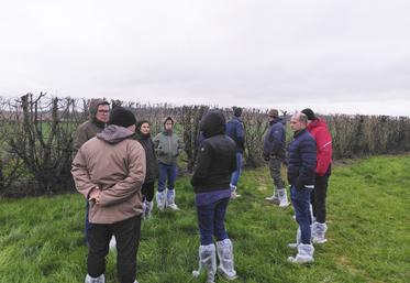 En février, une formation sur l'installation et l'entretien de parcours arborés en élevage a été dispensée par les conseillères de la chambre d'Agriculture de région Île-de-France.
