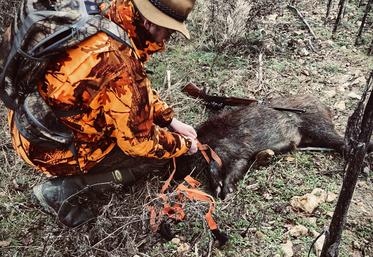 La FDSEA 77 propose une session de formation réservée aux agriculteurs qui souhaitent passer le permis de chasser.