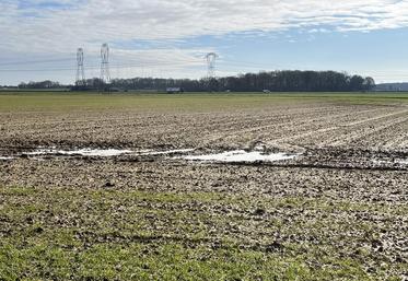 En sud-Essonne, comme dans toute l'Île-de-France, les fortes pluies incessantes ont impacté les cultures et les semis. (mars 2024)