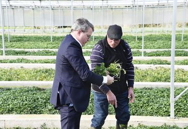 Jeudi 28 mars, à Méréville (Essonne). Olivier Barberot présente sa cressonnière à François Durovray, président du conseil départemental de l'Essonne.