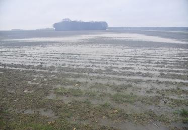 À la suite des intempéries, la DDT a accepté les demandes de dérogation portées par la FNSEA 41 sur l’ensemble du département.