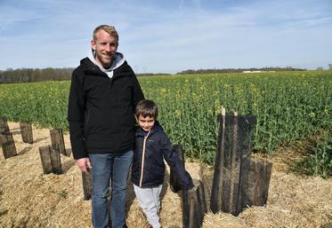 Pringy, mercredi 20 mars. Marc Allard et son fils Matthéo au milieu d'une des haies qui longe un chemin.