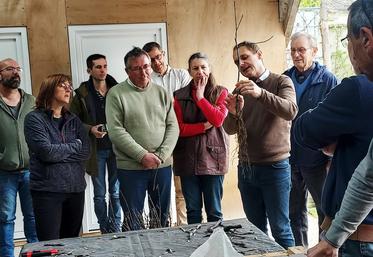 Samedi 6 avril, à Ingré. Durant la formation, Christophe Sotteau dévoile une technique de greffage sur un jeune arbre.