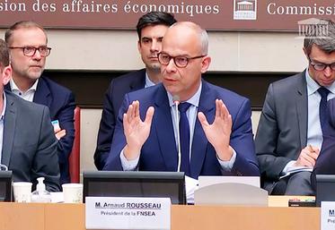 Mercredi 10 avril, à Paris. Arnaud Rousseau a exprimé devant la commission des affaires économiques de l'Assemblée nationale la volonté de la FNSEA de voir l’ensemble des paquets de textes avancer afin d'orienter l’agriculture d’une manière complète et cohérente.
