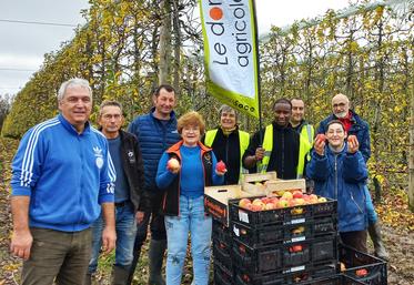 Les glanages solidaires permettent de valoriser les pertes au champ pour l'agriculteur, tout en profitant aux associations d'aide alimentaire.