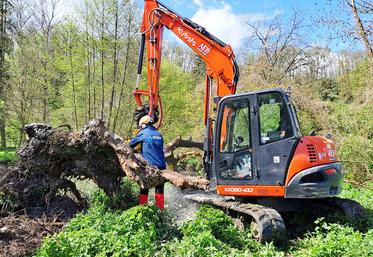 Avec la succession de crues hivernales, le Loir au niveau du Croc-Marbot était entièrement bouché avant l'intervention du Smar Loir 28.