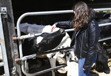 Dimanche 21 avril, à Muides-sur-Loire. Les prim'holstein de l'élevage du Croc du Merle étaient à l'honneur dans le cadre des portes ouvertes Bienvenue à la ferme.