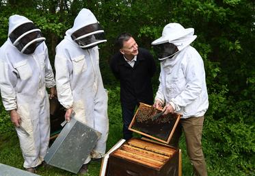 Mardi 9 avril, à Blois. Christophe Degruelle, président d'Agglopolys, et le Syndicat des apiculteurs de Loir-et-Cher ont officiellement lancé la nouvelle campagne de lutte contre le frelon asiatique.