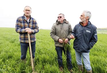 Le concours « Cultiv ta biodiv » a été lancé le mardi 16 avril à Bouleuse dans la Marne. Il a lieu du 26 avril au 26 mai* et vise à communiquer sur les pratiques vertueuses pour l’environnement.