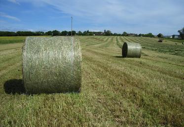 Pour être bien conservé, le foin doit comporter 85 % de matière sèche.