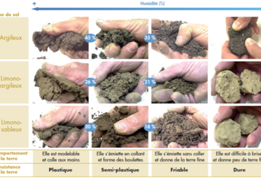 Il est important de travailler des sols ressuyés, à consistance friable sur l’horizon ou le profil travaillé. Cette grille de décision vous aidera dans l’évaluation de cette consistance.