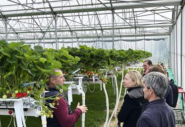 Mardi 7 mai, à Houdan (Yvelines). Damien Vanhalst fait visiter sa serre aux équipes de la DDT.