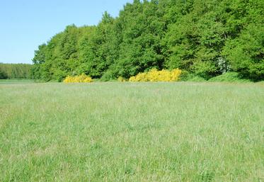 La FNSEA 41 a demandé au préfet le report de l'interdiction de broyage et de fauchage des jachères au 31 mai. La réponse est attendue dans les meilleurs délais.
