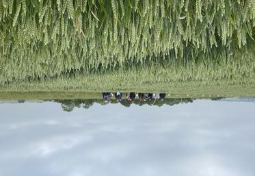 La chambre d'Agriculture de région Île-de-France invite les agriculteurs franciliens à sa première plateforme technique à Méré (Yvelines) mardi 4 juin.