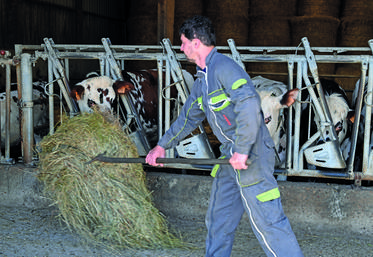 Les Services de remplacement de Loir-et-Cher permettent à des agriculteurs d'un même territoire de se faire remplacer ponctuellement.