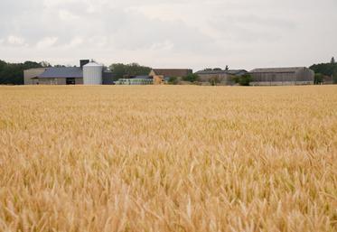 La priorité du SNPR, en assemblée générale du 30 mai au 1er juin, est de favoriser la mise à bail des terres agricoles.