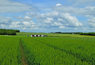 Jeudi 16 mai, à Villedieu-sur-Indre (Indre). La visite de la plateforme Syppre Berry s’est organisée en petits groupes.