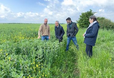 Mercredi 22 mai, à Néron. Exploitant en bio, Romain Lhopiteau (à g.) a fait un petit tour de plaine avec le préfet Hervé Jonathan et le vice-président de la Région, Jean-François Bridet.