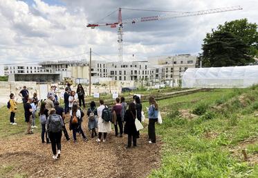 Vendredi 24 mai, à Châtenay-Malabry (Hauts-de-Seine). 40 personnes ont visité la ferme urbaine Chez Volterre.