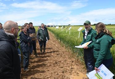 À Binas, jeudi 30 mai. Arvalis a organisé une visite d'essais. À l'image de la campagne 2024 actuelle, une trombe d'eau a accueilli les participants.