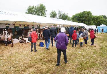 Dimanche 2 juin, à Dangeau. Le public a été très nombreux, environ 25 000 personnes selon les organisateurs, surtout le dimanche avec le retour du soleil.