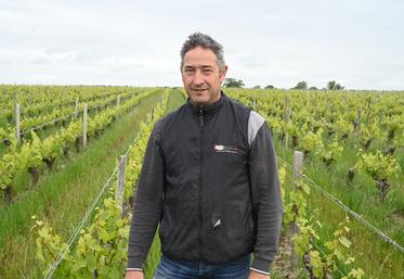Jérôme Marcadet est vigneron à Feings et préside les appellations Cheverny et Cour-Cheverny. Il attend avec impatience le retour du soleil et d'un temps plus sec. 