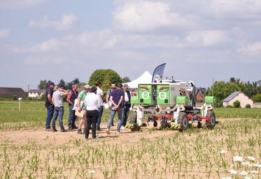 Jeudi 6 juin, à Illiers-Combray. Le robot Orio de Naïo technologies désherbinant du maïs a été l'un des centres d'intérêt des adhérents de la Scael lors de cet Agricampus.