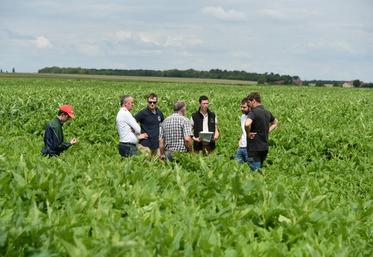 Mercredi 5 juin, à Villemoutiers. Une demi-journée technique était organisée autour de la culture de silphie. Une visite de parcelle a eu lieu.
