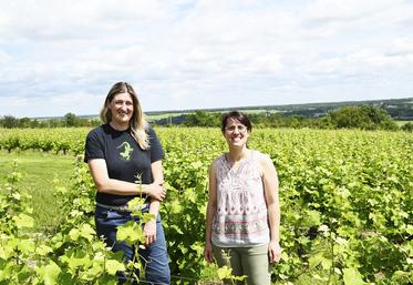 Au milieu des vignes, Ludivine Marteau et Aurélie François sont dans leur élément autant qu'à la présidence de l'appellation Touraine Chenonceaux. 