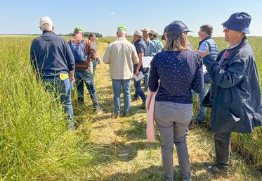 Vendredi 7 juin, à Bouville. Les adhérents de la Cabbep ont visité un essai désherbage en phase avec l'une des grosses problématiques de l'année.