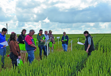Mauperthuis, mercredi 12 juin. Cinq ateliers étaient au programme de la plateforme technique de la chambre d'Agriculture.