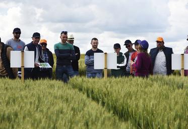 Mardi 11 juin, à Autruy-sur-Juine. Les Rencontres agronomiques Axéréal ont accueilli dans le Loiret plus de 150 personnes tout au long de la journée.