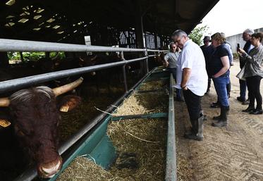 Lundi 17 juin, à Boisseau. Plusieurs présidents de fédérations des bouchers des départements de la région Centre-Val de Loire ont visité l'élevage de Pierre Bourbon.