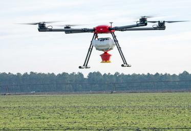 Les drones utilisés pour le semis de couverts et le largage de produits (trichogrammes, phéromones…) entrent dans la catégorie spécifique qui demande au télépilote une certification adaptée (CATS).