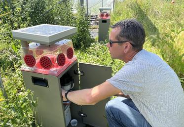 Les pièges Pira sont simplement posés au sol, alimentés par un capteur solaire.