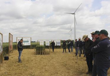 Le 12 juin, à Saint-Just-en-Chaussée (Oise). Les participants à la plateforme TMCE assistent à une présentation de l’intérêt de TMS et TMF dans la gestion des résidus de récolte et des maladies du blé.