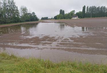 Les précipitations incessantes des derniers mois ont provoqué des inondations dans les champs, comme ici à Saint-Gourgon en Loir-et-Cher (photo prise le 27 juin).