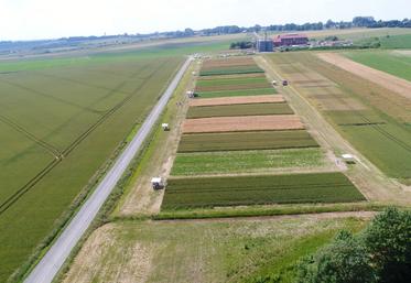 Étaves-et-Bocquiaux, mercredi 26 juin. La plateforme SystèmesC présente des solutions pour des pratiques agricoles durables et économiquement viables.