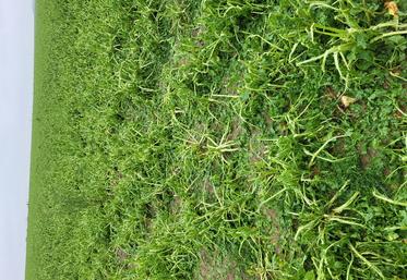 Ces derniers jours, des orages violents ont endommagé des parcelles en Île-de-France.