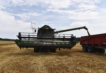 Les agriculteurs ont enfin pu commencer la moisson des blés depuis le milieu de la semaine dernière.