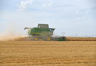 Samedi 20 juillet, c'est sous des températures enfin estivales (30 °C) que la moisson se passe près de Saint-Péravy-la-Colombe.